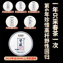 新茶2023春茶新益号贤藏易武国境古树普洱茶生茶饼云南七子饼茶叶