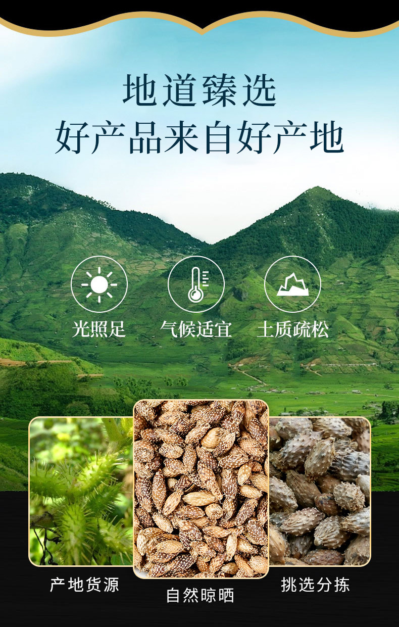 Cang Er Zi (Xanthium sibiricum) — Stir-Fried De-Spined Cocklebur Fruit, Dried Herb 500g overview