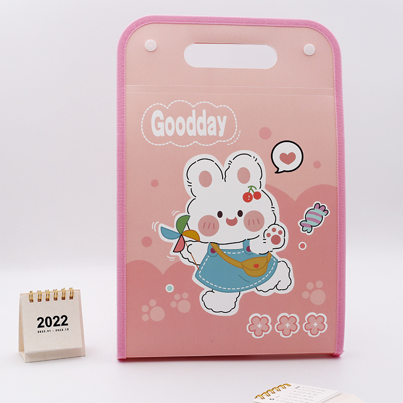 Bolsa de almacenamiento de papel de estudiante de dibujos animados de gran capacidad de múltiples capas de órganos Carpeta 13 rejilla bolso lateral bolsa de órganos al por mayor