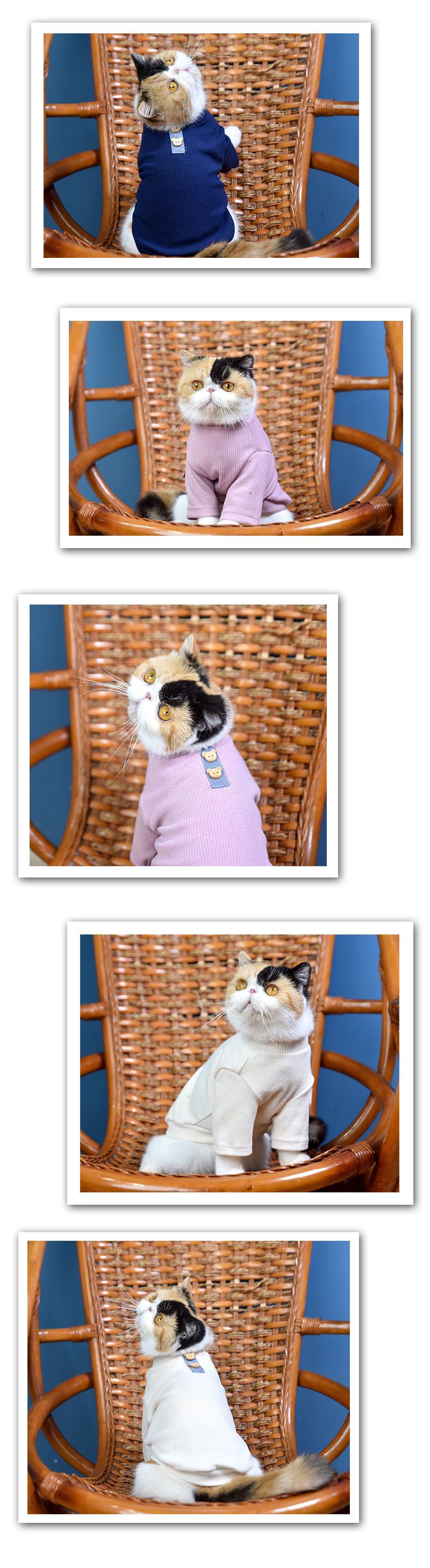 小熊扣 详情4 骏腾.jpg