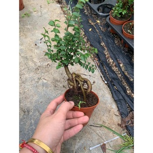 ����ֱ�N��������ܘ��辰�䘶�k���Һ��B���� A90#������^�ܘ�