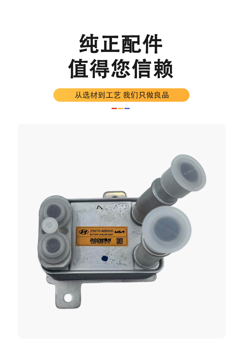 Suitable for Kia Ev5 Electric Vehicle Cooler Radiator Coolant Circulation Cooling Device Oe25670Mb00