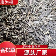 香排草 排草 香草 合血草 满山香 中药材香排草 代打粉 各种冷背