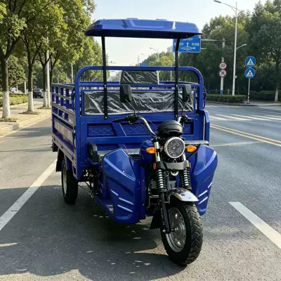 Agricultural Cargo-Carrying Fuel-Powered Tricycle Sərnişin üçtəkərli motosikllar