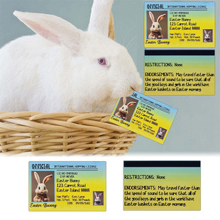 Cross Border Easter Bunny Card Cute Bunny ID Card Fun Bunny Pass Holiday Wishes Gift Card