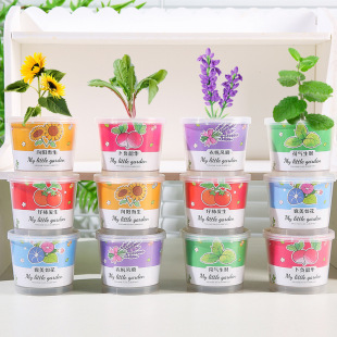 DIY Kidsren's Planting Small Potted Plants Student Gifts Balcony Office Desktop Cultivation Kindergarten Gift Batch