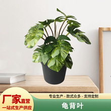 ���滨�����~ֲ��������Ҿ�����������~�zӰ�Gֲ��������