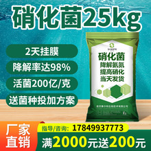 ��������������΢�������Ч�������������}���������Bֳ��ˮ�þ�