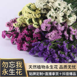 永生花勿忘我云南厂家批发风干永生花干花花束客厅家居婚礼装饰