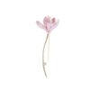 454-Lotus