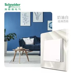 Schneider Hosheng Switch Socket 86 Type Concealed Home Panel Switch Air Conditioner USB Wall Inclined Five-Prong Socket 
