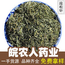 松针茶500g克长段松针枝马尾松针松针叶干松针中药材大全代发批发