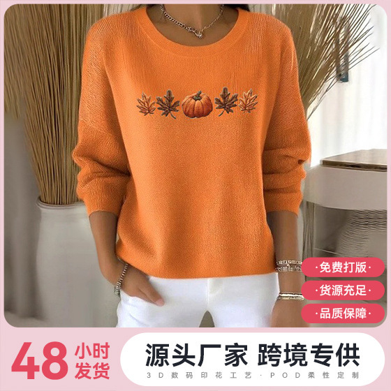 2025 New Amazon Independent Site Aliexpress Round Neck Pullover Long-Sleeved T-Shirt Women's Autum New European Size Top