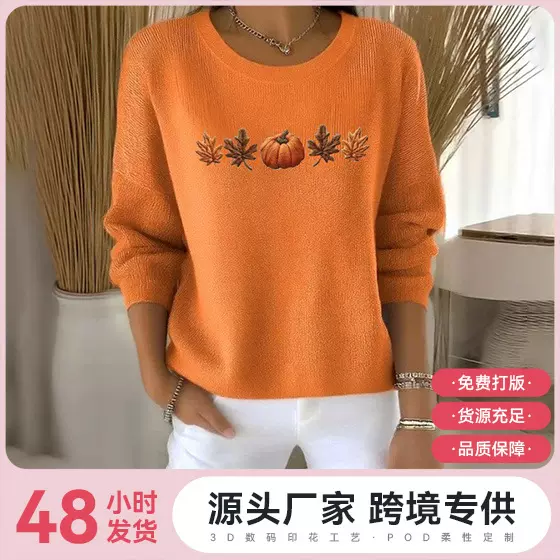 2025新款亚马逊独立站速卖通圆领套头长袖T恤女秋季新款欧码上衣