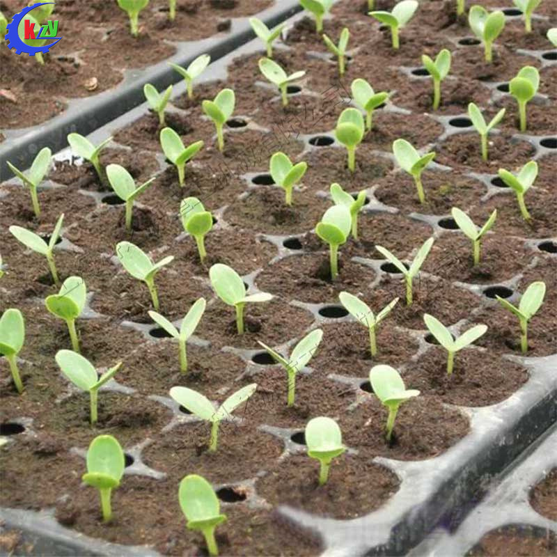 穴盘压穴一自动播种 半自动穴盘播种机 新型辣椒番茄蔬菜播种设备