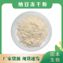 纳豆冻干粉 纳豆提取物 纳豆激酶活性 厂家多规格 1KG起现货包邮