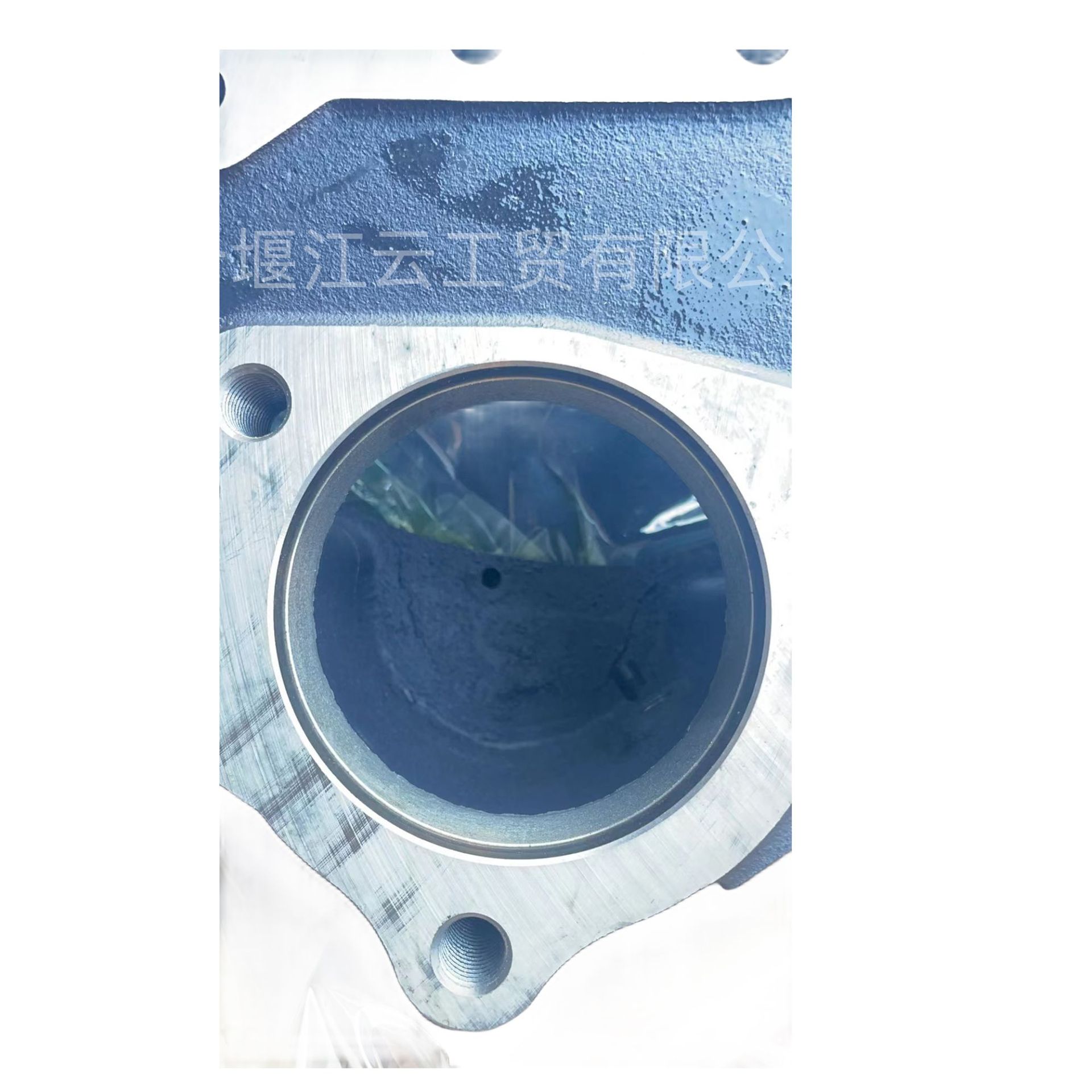 Supply Shanghai Diesel Engine D series flywheel housing D02C-101-811