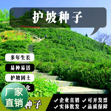 o¹ľN뻱̻໨ľm֦Сڻُ;GGݷN