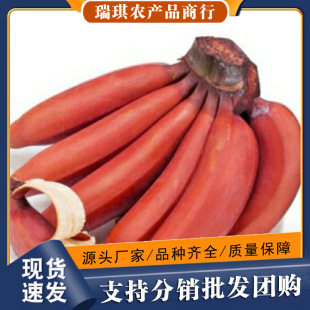 ���ڸ����tƤ�㽶5�����䮔�����rˮ����Ƥ10���l���]3��t���˽�