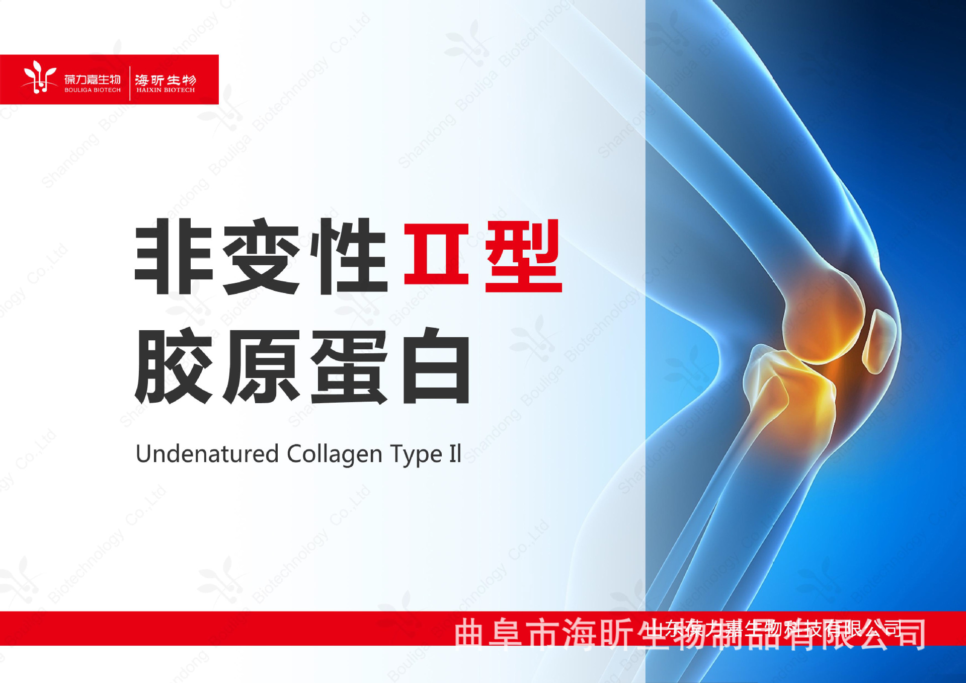 非变性--产品说明-1 副本.jpg