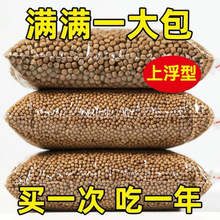 �������Z�Z�����_�ڼZʳ��С�����~��������С�������ͨ��