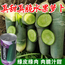 ɳCˮ}}NӷNɽ|HشѷNļ