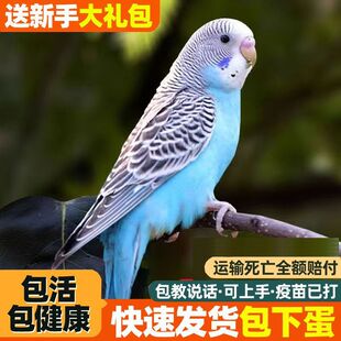 ��Ƥ�W�^�B���Bճ�˸�����녰����r���Ћ��P����С�B������