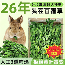 烘干紫花苜蓿草幼兔草豚鼠荷兰猪龙猫饲料牧草兔子干草兔粮草兔草