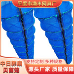 暂养育苗笼无结网钢圈笼渔网工具水产养殖南美扇贝苗笼扇贝