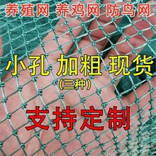 �Ӵ֝O�W�WƬˮ�a�Bֳ�Wȫ�¾���ϩ�B�u���ھW���@���B�W�Bֳ�W��