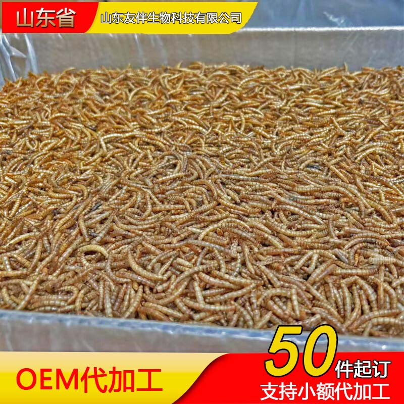 Yellow Powdered Insect Dried Bakery Insect Dried Pet Feed Hamster Snacks Ornamental Fish Turtle Food Feed Bird Food Microwave Drying Insect