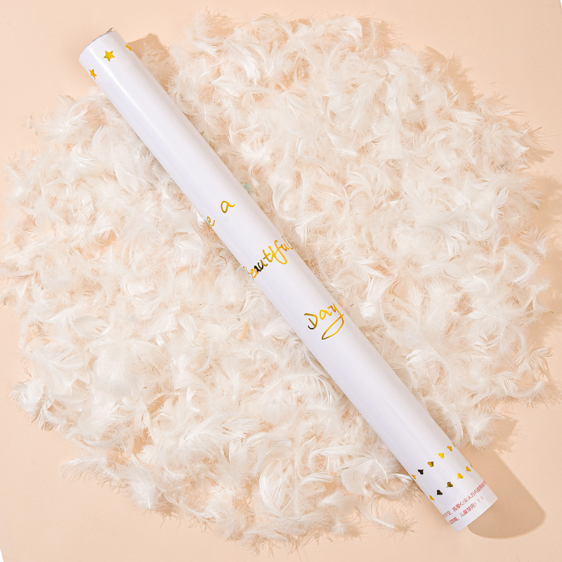 Plumas de regalo de casamiento de mano de regalo de cumpleaños de transmisión directa de regalo