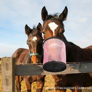 �羳��Ʒ�������{���R����ϴ�����ιʳ������첱ιʳ���ɲݴ�