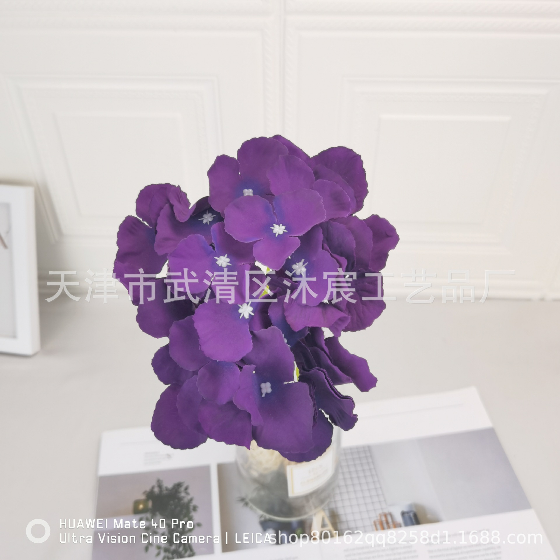 Pourpre