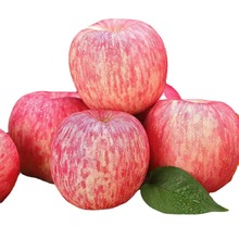 苹果 新鲜苹果掌柜陕西洛川苹红苹非/5/8.5斤礼盒顺丰礼盒装特产