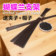 �����m֧���m��ֲ��̶��U֧�ΗU��ֱ�F�z֧������ֲ��̶��A��