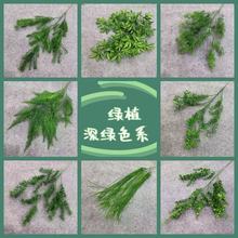 ������Gֲ�����~��횲����~�Ȼ�c�Gֲ�廨�b��ķ���ֲ�����l