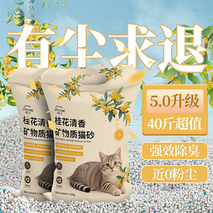 ؈ɰ���]20������������ľ���Vɰ����40����b؈ɳ