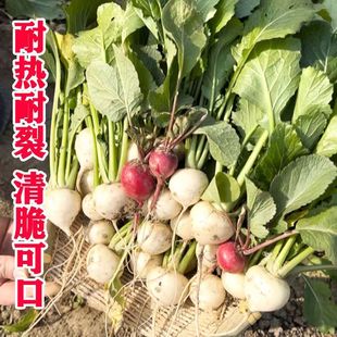 �י����}���N��ˮ���}��С�����_�����ļ�������@�r�Ҵ����ﶬ��