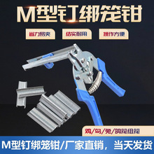 ���\�Qɢ��Q�u�\���û\�ý�Ƭ�Q����M�ӆ�Q�ք������\�ӹ̶��Q