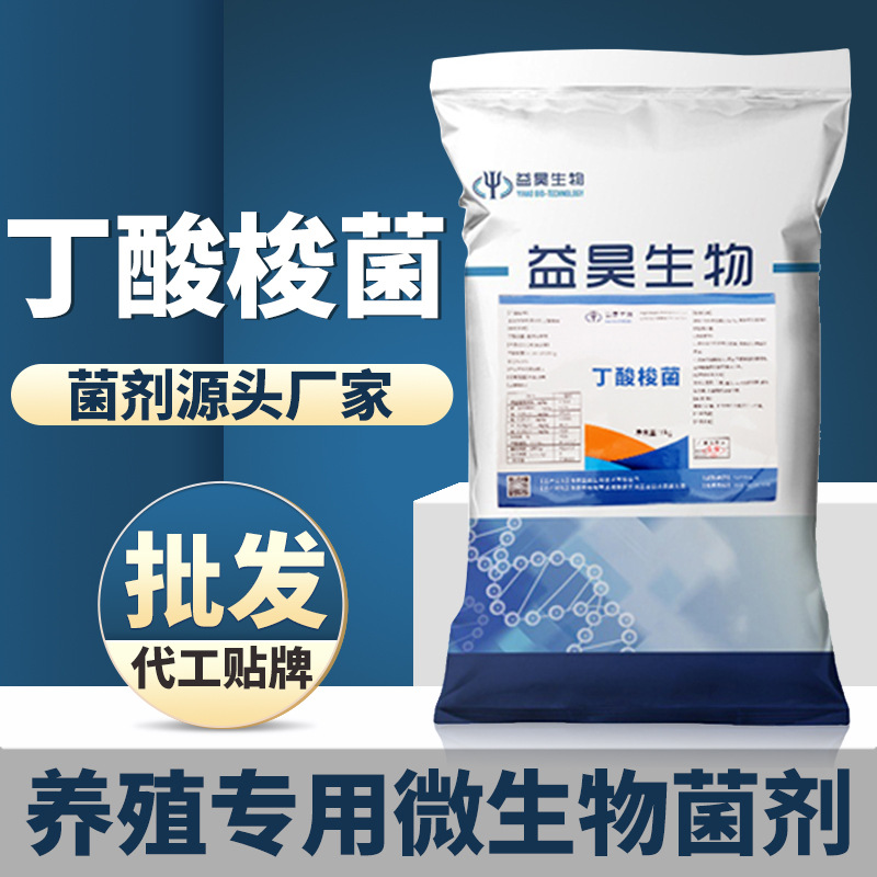 丁酸梭菌水产养殖家禽家畜饲料添加剂饲用畜牧动物益生菌厂家营养