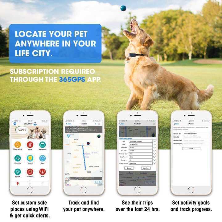 G12 New Gemstone Ip67 Waterproof Pet Gps Locator Dog Cat Cattle Sheep Hunting Dog Tracking Anti-Lost