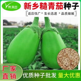 ���l�������ӷN���ش������G�����ӾGƤ��Ƥ�a�r��˵��׷Nֲ�߮a