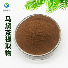 马黛茶提取物10:1 巴拉圭茶提取物 水溶马黛茶粉 1KG起 现货供应