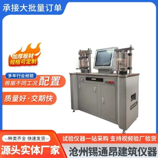 全自动抗折抗压一体机 DYE-300S水泥全自动抗折抗压试验机仪器