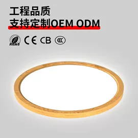 防爆灯;其他专用灯具;支架