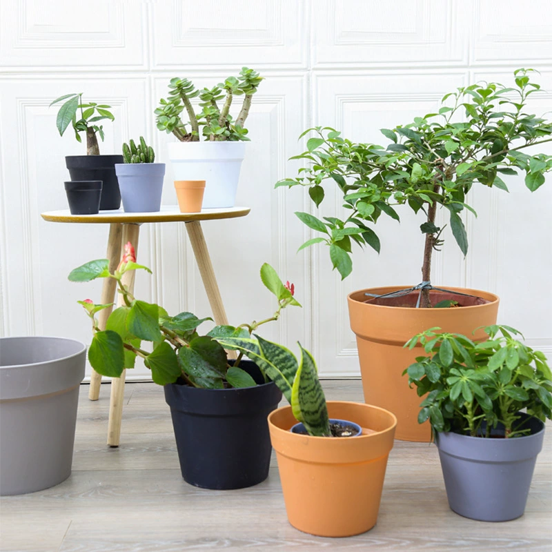 Пластиковые цветочные горшки от производителя, круглые международные горшки большого диаметра, маленькие горшки для растений, горшки для суккулентов, терракотовые горшки для зеленых растений.