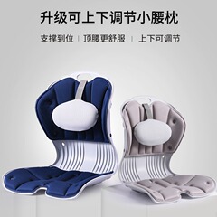 姿はとても美しいです。ZTMは腰を保護してクッションを矯正します。