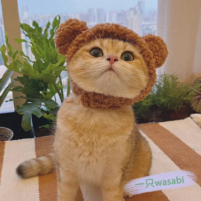 逗猫帽子头戴式逗猫棒猫咪头套帽子宠物狗狗羽毛自嗨玩具黄色帽子|undefined