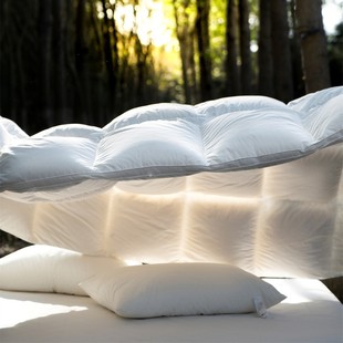 Soft and quiet high-grade duvet 95 goose down quilt spring, autumn and winter quilt thickened four seasons universal double quilt core